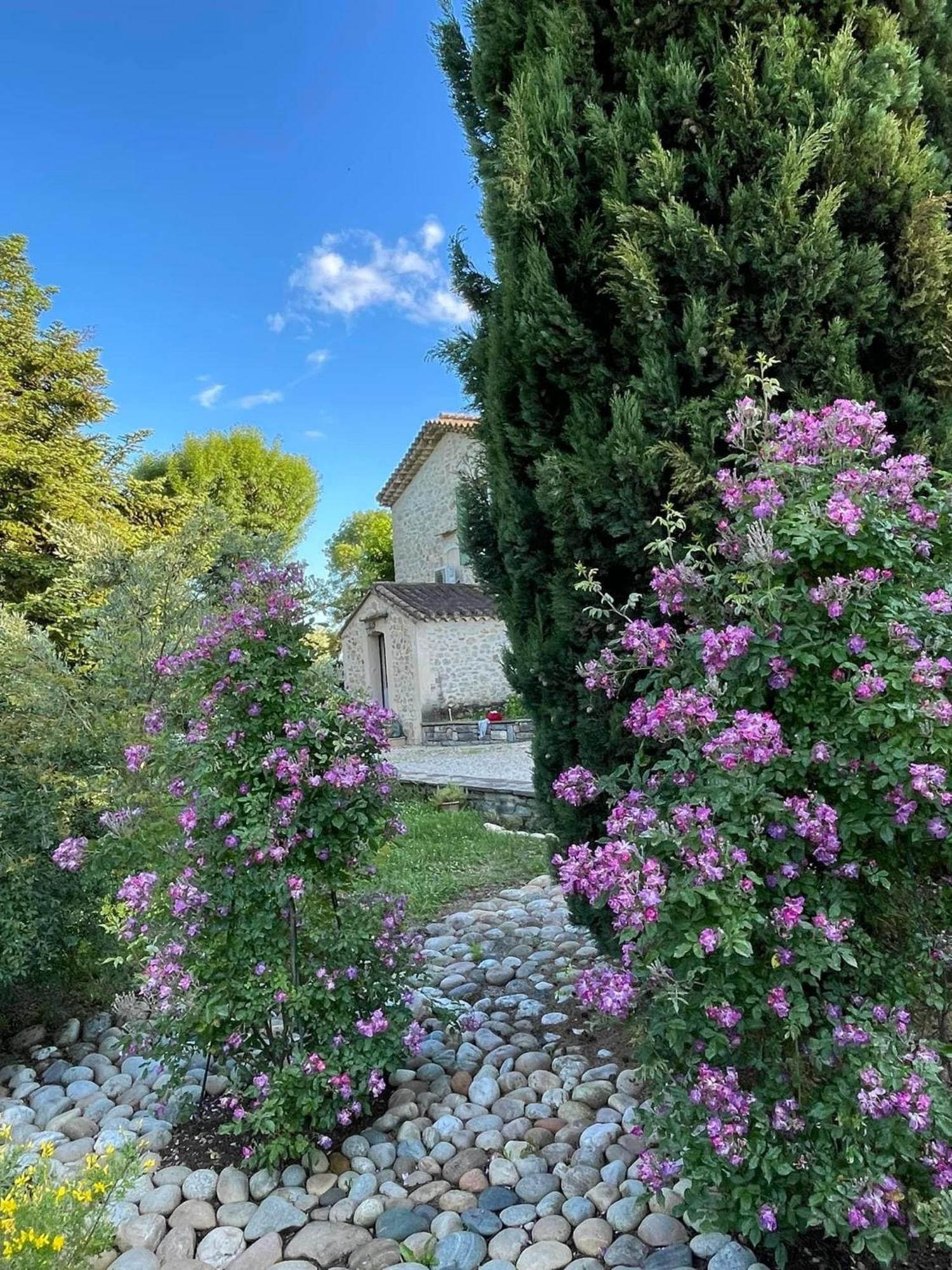 Bed and Breakfast Mas D'Olive Et Kalou Sauve Exteriér fotografie
